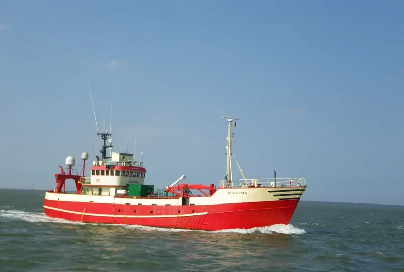 REYKJANES General Cargo IMO 7392311 photo 9