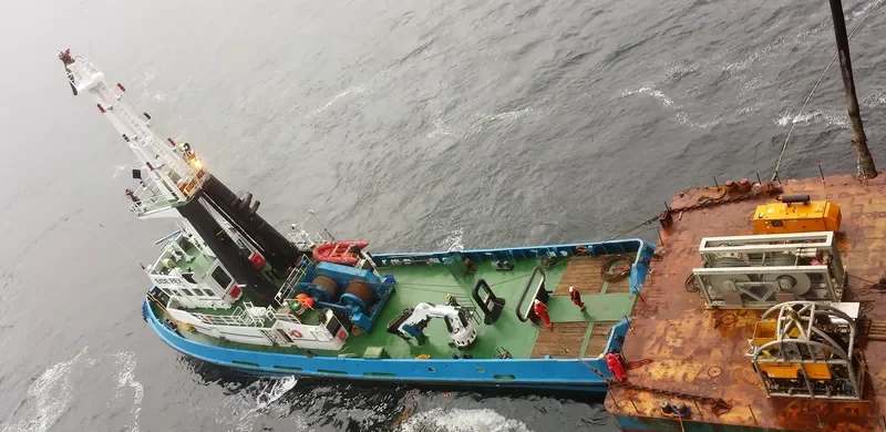 POLAR REX General Cargo IMO 7392816