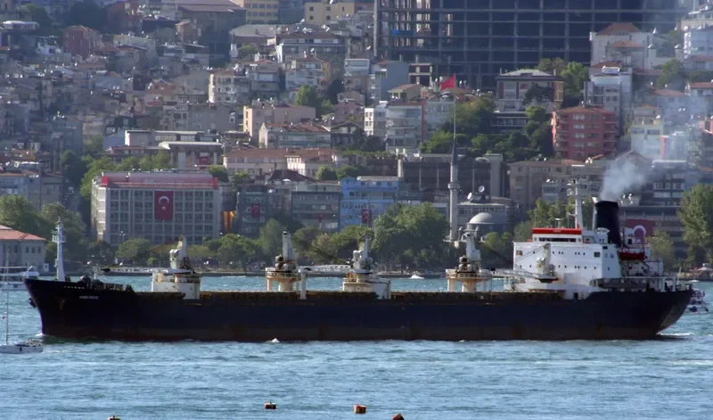 CPT STAVROS Bulk Carrier IMO 7392880 photo 2