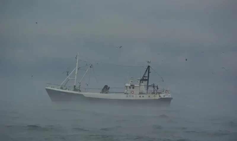 HERRY Fishing Vessel IMO 7393042 photo 4