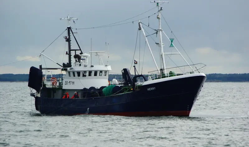 HERRY Fishing Vessel IMO 7393042 photo 6