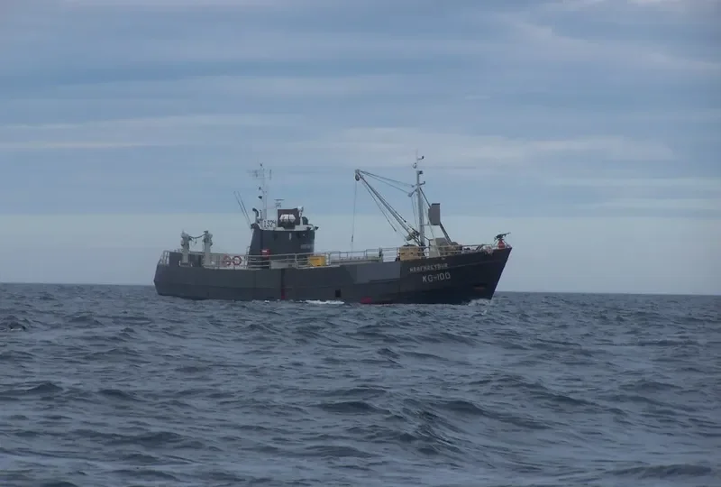 HALLA Fishing Vessel IMO 7393597 photo 6