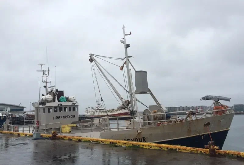 HALLA Fishing Vessel IMO 7393597 photo 8