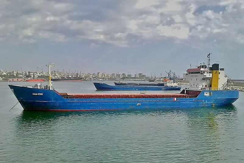 GOLD STAR General Cargo IMO 7393860