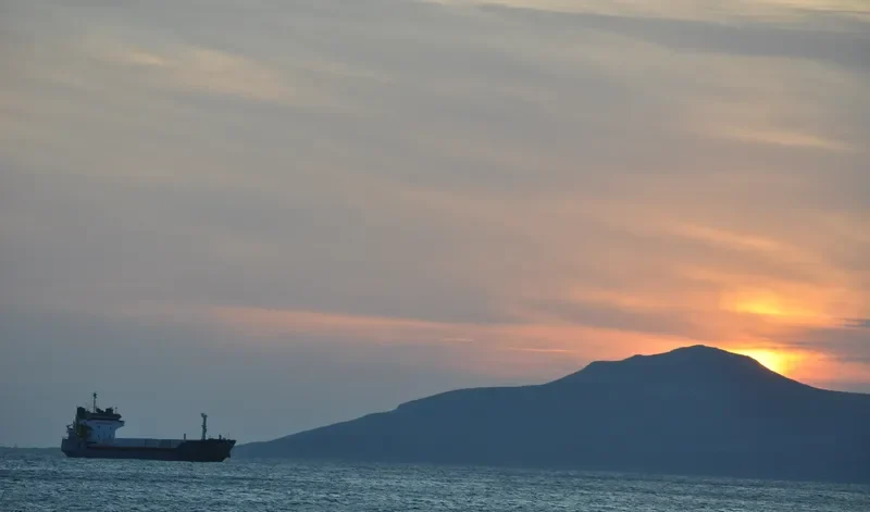 GOLD STAR General Cargo IMO 7393860 photo 3