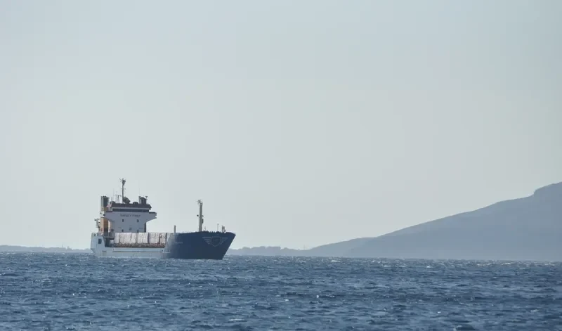 GOLD STAR General Cargo IMO 7393860 photo 6