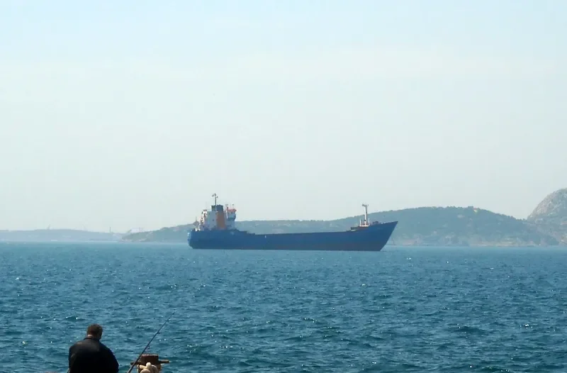 GOLD STAR General Cargo IMO 7393860 photo 7