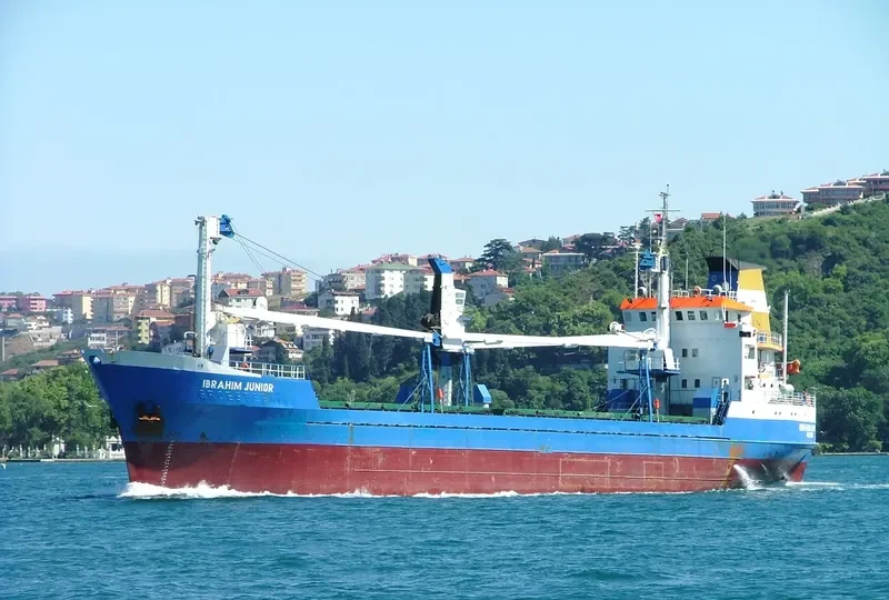 GOLD STAR General Cargo IMO 7393860 photo 8