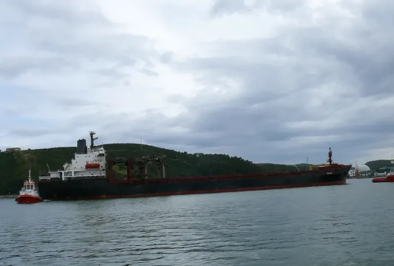 SWAN General Cargo Vessel IMO 7395026