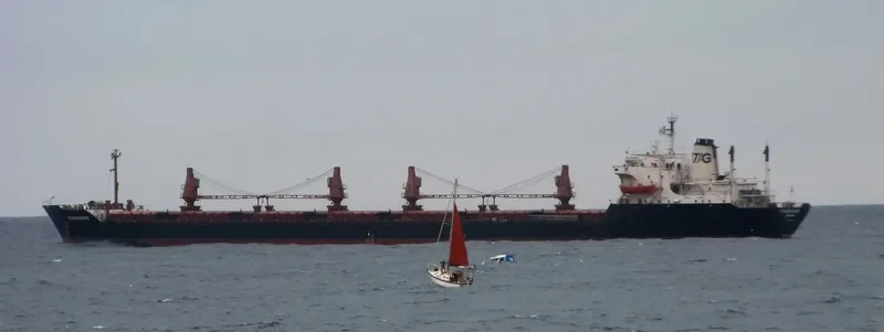 TRANSORIENT Bulk Carrier IMO 7395234