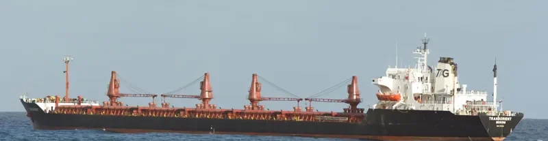 TRANSORIENT Bulk Carrier IMO 7395234 photo 2