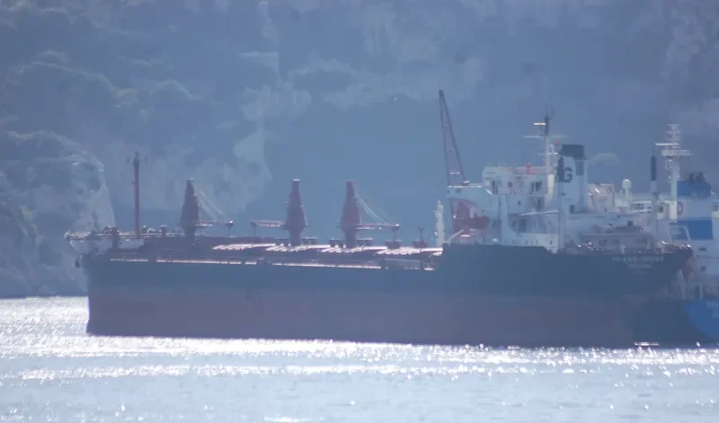 TRANSORIENT Bulk Carrier IMO 7395234 photo 3