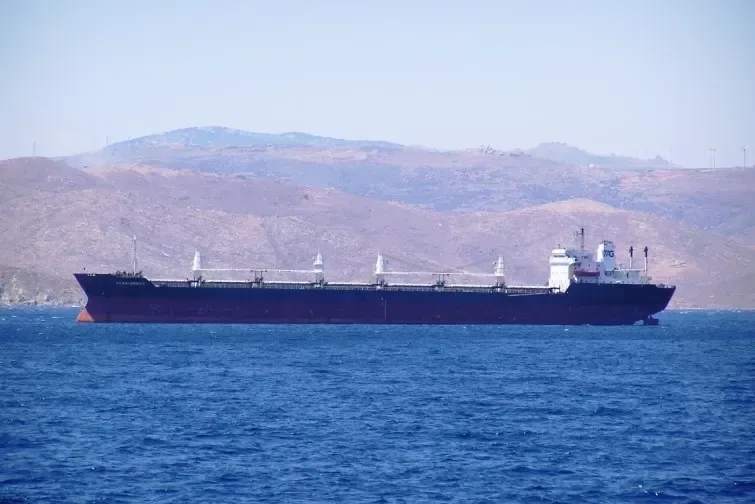 TRANSORIENT Bulk Carrier IMO 7395234 photo 5