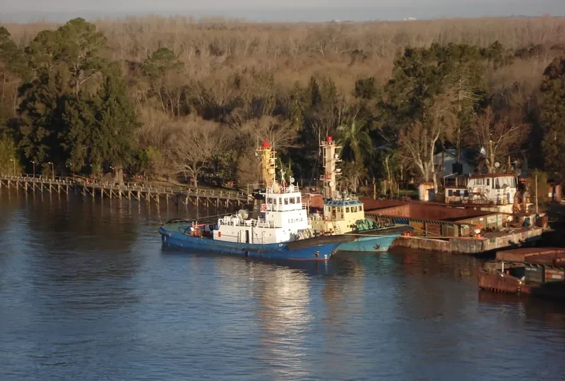 DUMAR Tug Boat IMO 7395753 photo 5