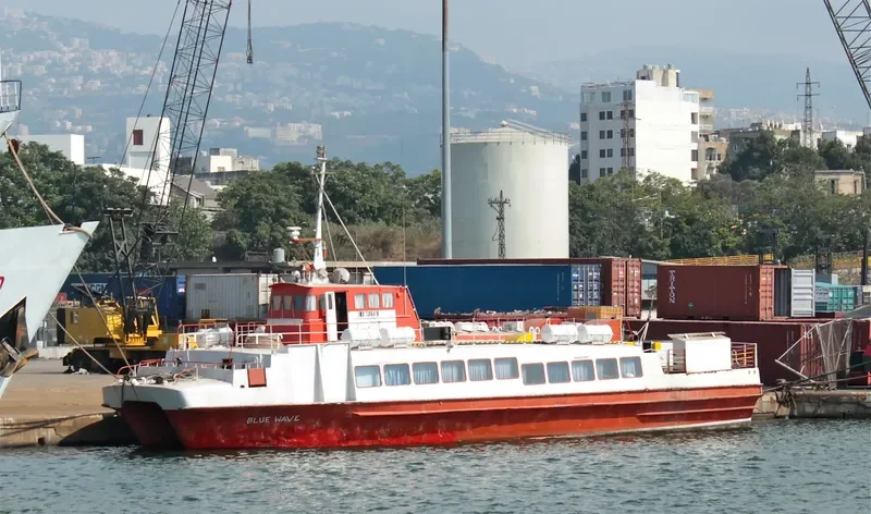 BLUE WAVE General Cargo IMO 7396410
