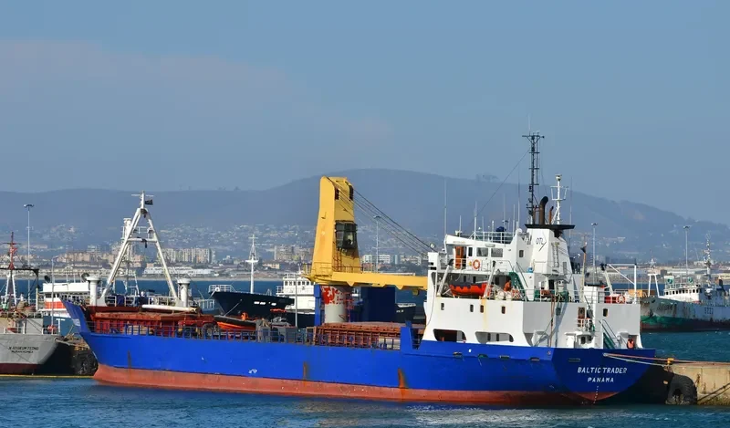 BALTIC TRADER General Cargo IMO 7396472 photo 4