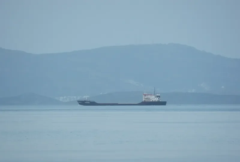 TRANSMED General Cargo IMO 7396616 photo 5
