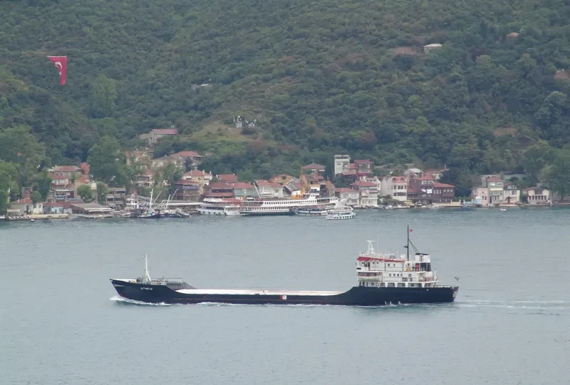TRANSMED General Cargo IMO 7396616 photo 9