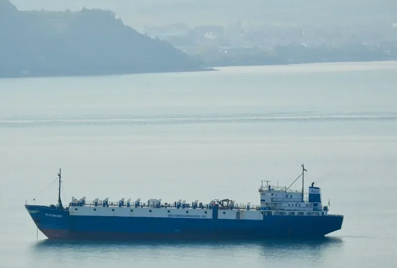 TULEEN General Cargo IMO 7396630