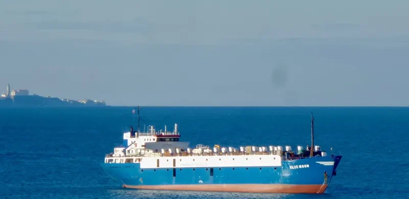 TULEEN General Cargo IMO 7396630 photo 4