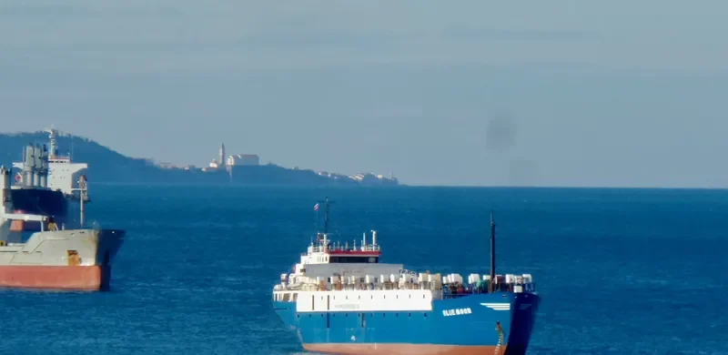 TULEEN General Cargo IMO 7396630 photo 5