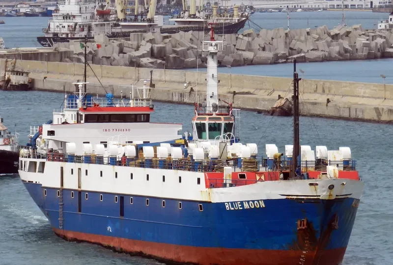 TULEEN General Cargo IMO 7396630 photo 8