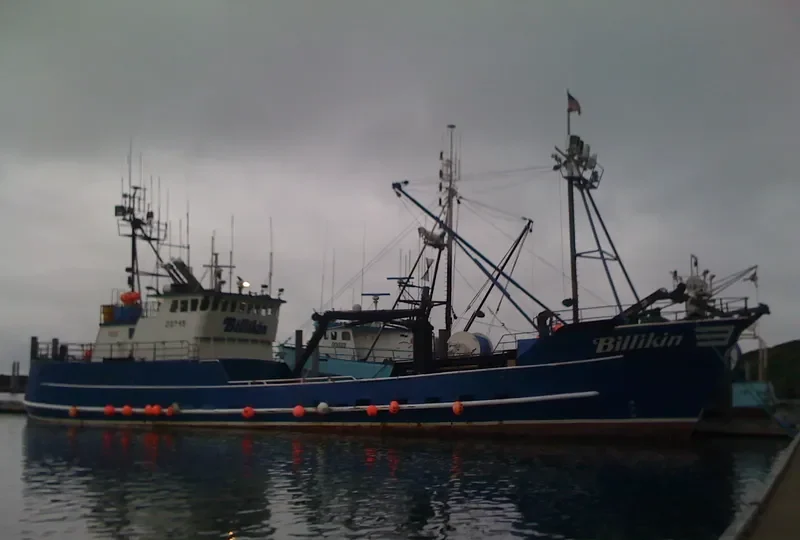 BILLIKIN General Cargo IMO 7397828 photo 8