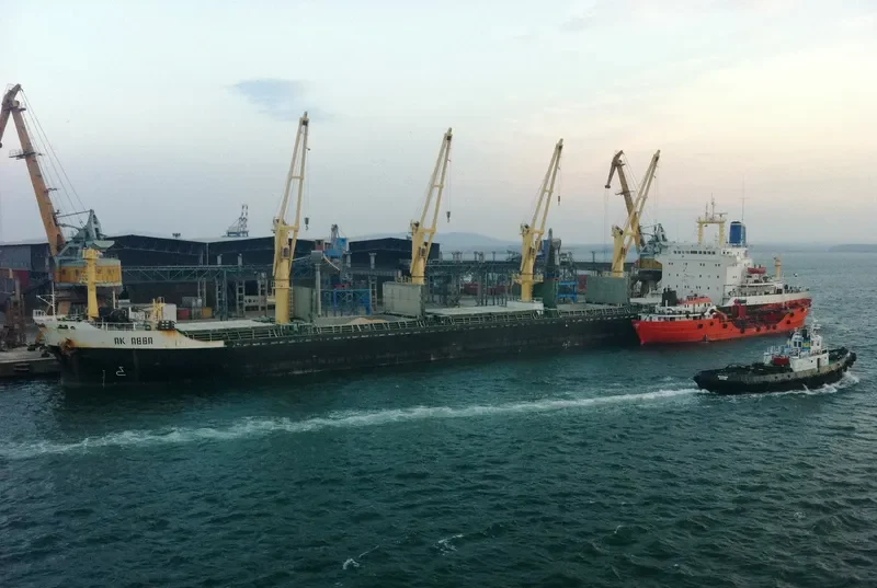 GREEN FLOWER General Cargo IMO 7397971 photo 2