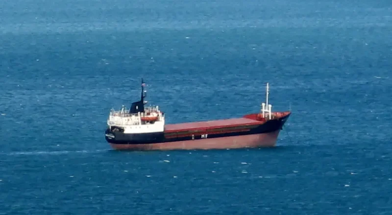 GREEN FLOWER General Cargo IMO 7397971 photo 4