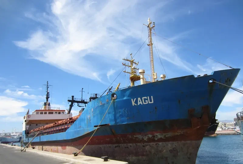KAGU General Cargo IMO 7398004 photo 4