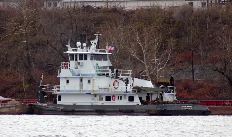 L DALE MANNS General Cargo IMO 7398250 photo 3
