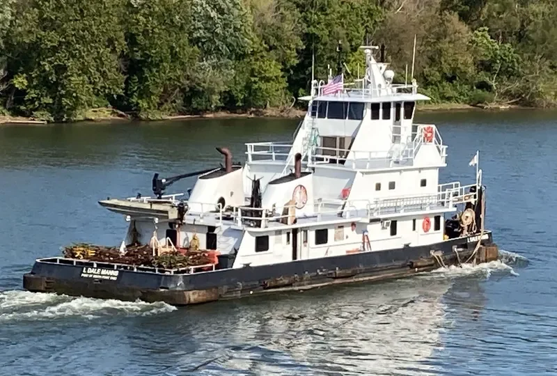 L DALE MANNS General Cargo IMO 7398250 photo 5