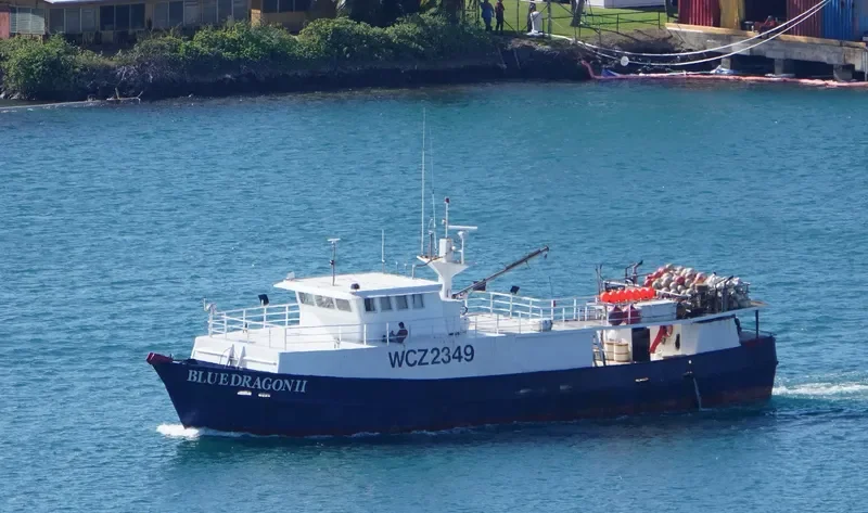 BLUE DRAGON II General Cargo IMO 7398389