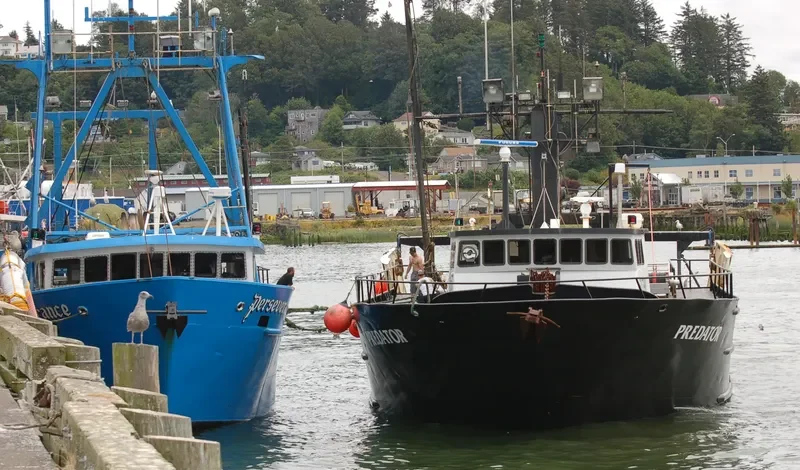 PREDATOR General Cargo IMO 7398406