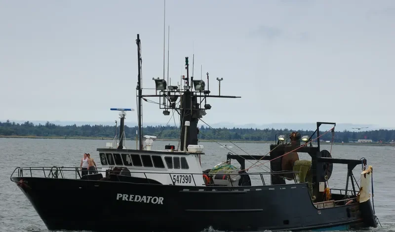 PREDATOR General Cargo IMO 7398406 photo 2