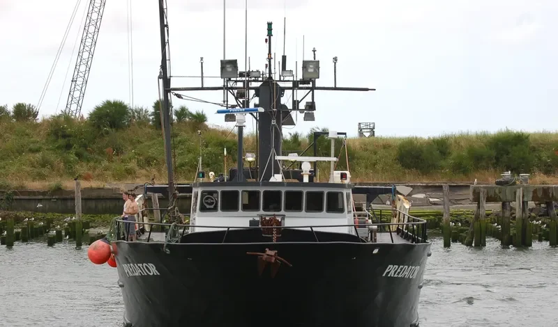 PREDATOR General Cargo IMO 7398406 photo 4