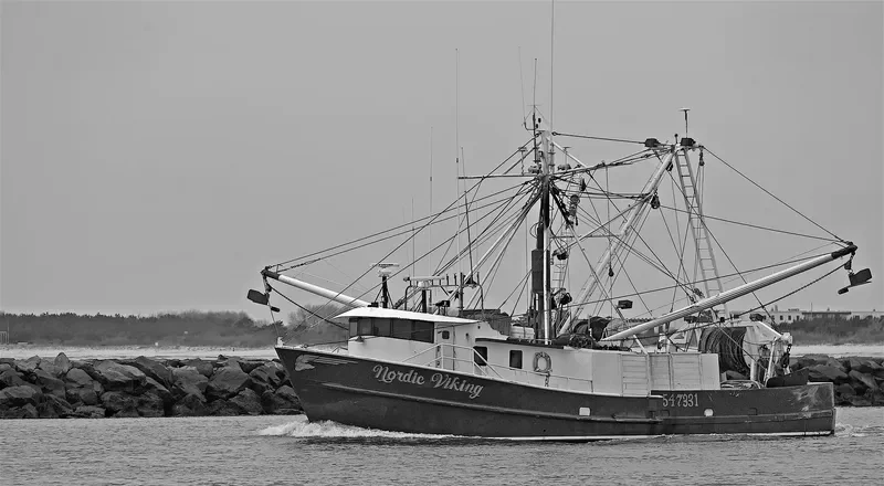 NORDIC VIKING General Cargo IMO 7398444 photo 2