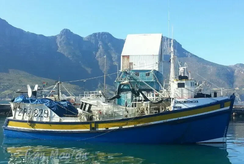 OCEANA CONCORDE General Cargo IMO 7398559