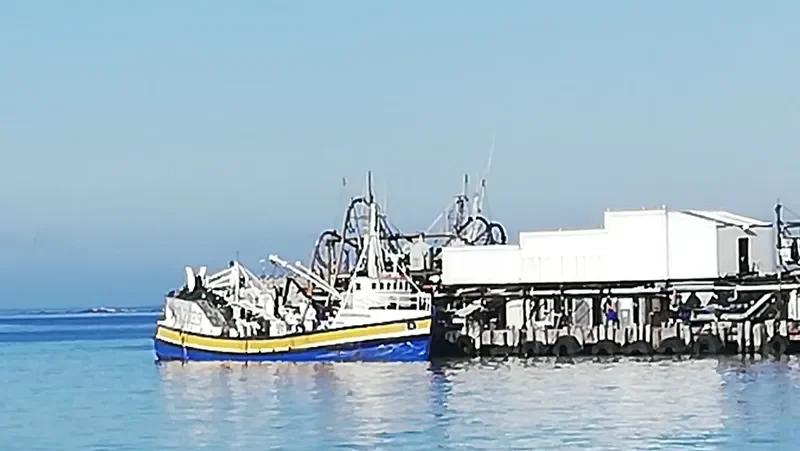 OCEANA CONCORDE General Cargo IMO 7398559 photo 6