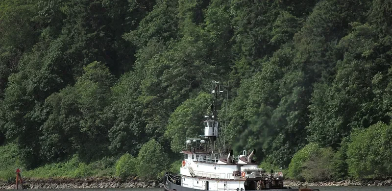 SALISHAN General Cargo IMO 7398573