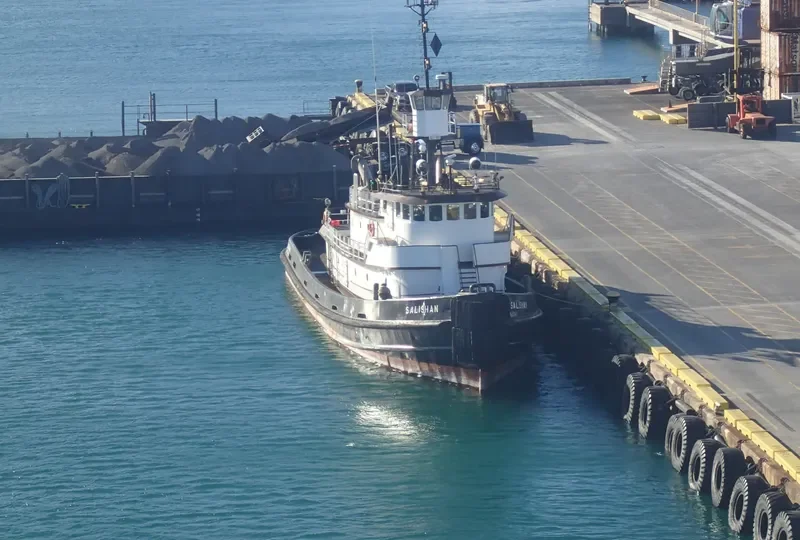 SALISHAN General Cargo IMO 7398573 photo 4