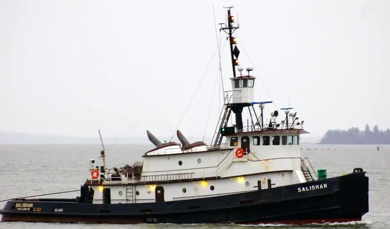 SALISHAN General Cargo IMO 7398573 photo 6