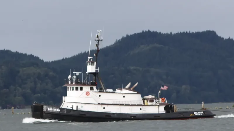 SALISHAN General Cargo IMO 7398573 photo 8