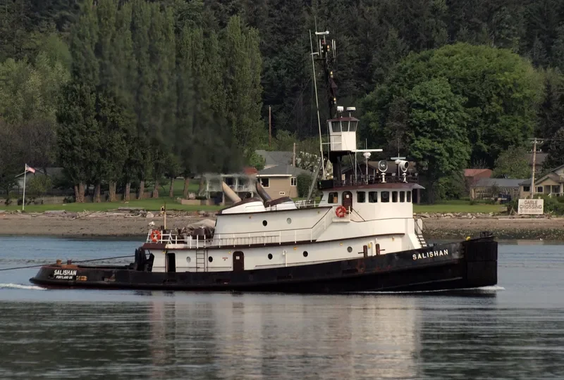 SALISHAN General Cargo IMO 7398573 photo 10