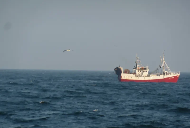ALVSBORG Fishing Vessel IMO 7400314 photo 8