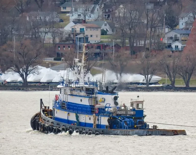 PACIFIC DAWN Tug Boat IMO 7400467 photo 8