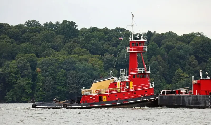 EVENING LIGHT General Cargo IMO 7400479 photo 2