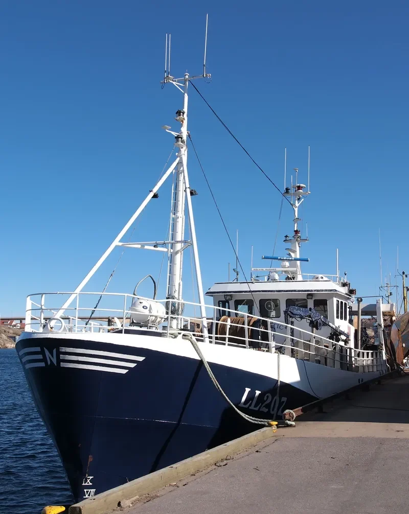 NAUTIC Fishing Vessel IMO 7400534 photo 6