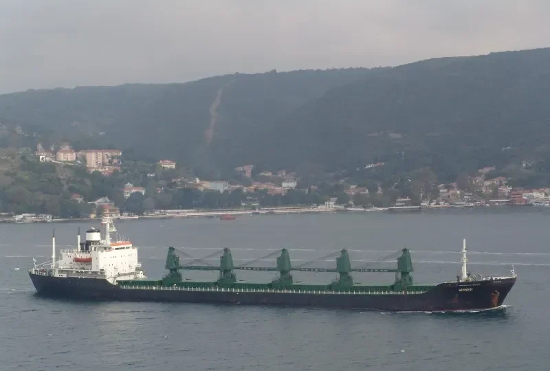 WINNER 2 Bulk Carrier IMO 7401849 photo 3