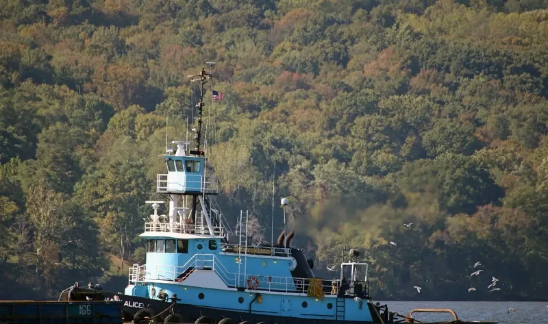 MARY ALICE Tug Boat IMO 7402738 photo 2